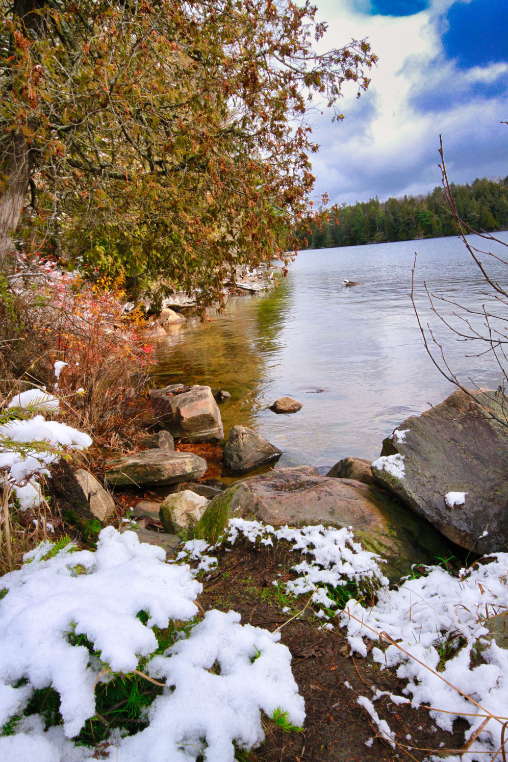 Spring in Algonquin